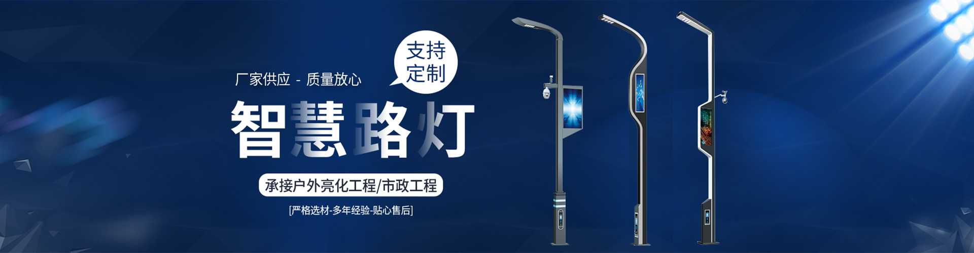 普兰店区太阳能路灯定制厂家